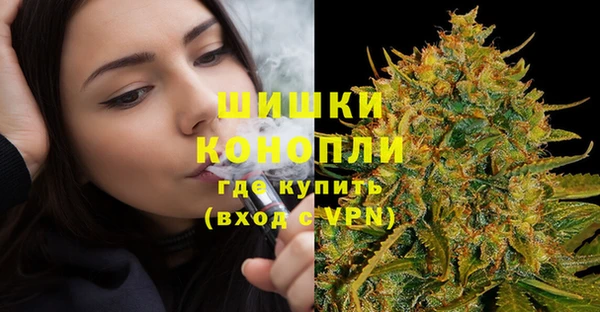 PSILOCYBIN Дмитриев